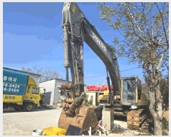  2025Ÿ��10385  �������