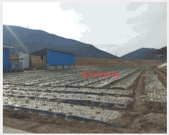  2025Ÿ11 泲 õ  踮 219      ()