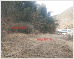  2025Ÿ11 泲 õ  踮 219      ()