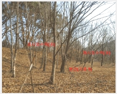  2025Ÿ11 泲 õ  踮 219      ()