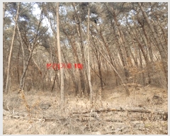  2025Ÿ11 泲 õ  踮 219      ()