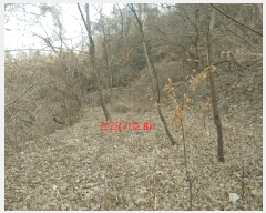  2025Ÿ11 泲 õ  踮 219      ()