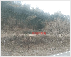  2025Ÿ11 泲 õ  踮 219      ()