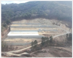  2025Ÿ73 泲 õ ߸ û 79      (Ӿ)