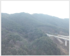  2025Ÿ73 泲 õ ߸ û 79      (Ӿ)