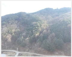  2025Ÿ73 泲 õ ߸ û 79      (Ӿ)