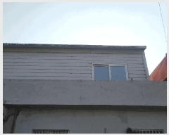  2025Ÿ134 泲 õ õ õ 877-3      Ұ