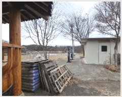  2025Ÿ196 泲 õ ֹ ʸ 393-8      ()