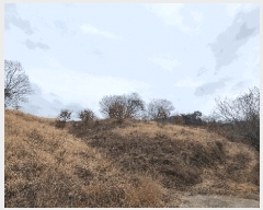  2025Ÿ196 泲 õ ֹ ʸ 393-8      ()