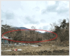  2025Ÿ196 泲 õ ֹ ʸ 393-8      ()