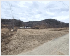  2025Ÿ196 泲 õ ֹ ʸ 393-8      ()