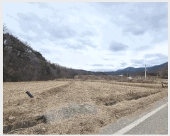  2025Ÿ196 泲 õ ֹ ʸ 393-8      ()