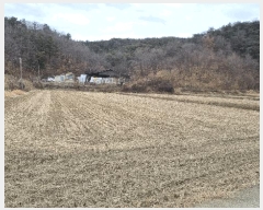  2025Ÿ196 泲 õ ֹ ʸ 393-8      ()