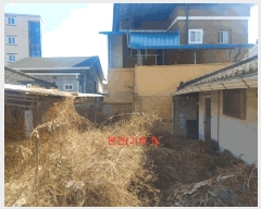  2025Ÿ219 泲 Ծ籺 Ծ  77      ð