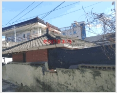  2025Ÿ219 泲 Ծ籺 Ծ  77      ð