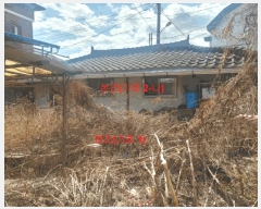  2025Ÿ219 泲 Ծ籺 Ծ  77      ð