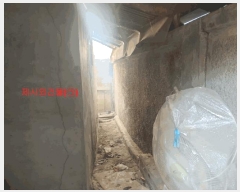  2025Ÿ219 泲 Ծ籺 Ծ  77      ð