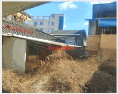  2025Ÿ219 泲 Ծ籺 Ծ  77      ð