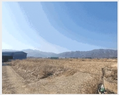  2025Ÿ233 泲 õ ʰ 뵿 124-6      ()