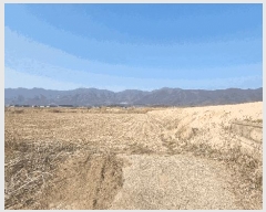  2025Ÿ233 泲 õ ʰ 뵿 124-6      ()