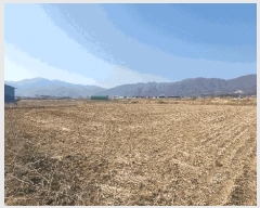  2025Ÿ233 泲 õ ʰ 뵿 124-6      ()