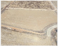  2025Ÿ233 泲 õ ʰ 뵿 124-6      ()