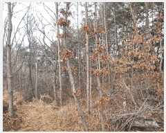  2025Ÿ��257  �Ӿ߰��