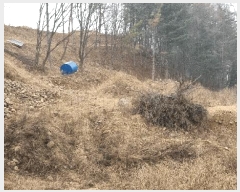  2025Ÿ��257  �Ӿ߰��