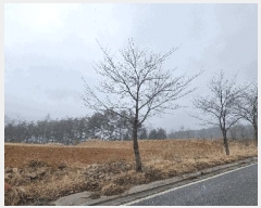  2025Ÿ��257  �Ӿ߰��