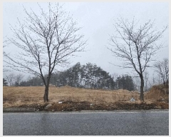  2025Ÿ��257  �Ӿ߰��