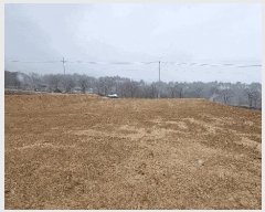  2025Ÿ��257  �Ӿ߰��