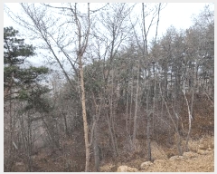  2025Ÿ��257  �Ӿ߰��