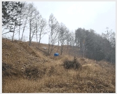  2025Ÿ��257  �Ӿ߰��