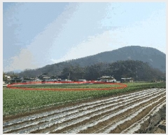  2025Ÿ332 泲 Ծ籺  ׸ 326      ()