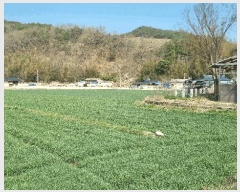  2025Ÿ332 泲 Ծ籺  ׸ 326      ()