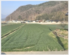  2025Ÿ332 泲 Ծ籺  ׸ 326      ()