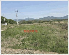  2025Ÿ��417  �����