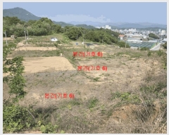  2025Ÿ��417  �����