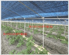  2025Ÿ431 泲 Ծ籺  ϸ 799      ()