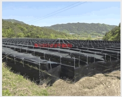  2025Ÿ431 泲 Ծ籺  ϸ 799      ()