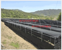  2025Ÿ431 泲 Ծ籺  ϸ 799      ()