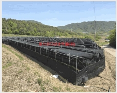  2025Ÿ431 泲 Ծ籺  ϸ 799      ()