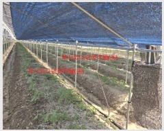  2025Ÿ431 泲 Ծ籺  ϸ 799      ()