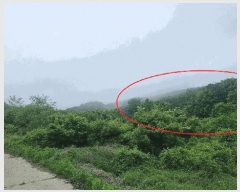  2025Ÿ479 泲 â â и 144      (1)