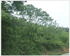  2025Ÿ479 泲 â â и 144      (1)