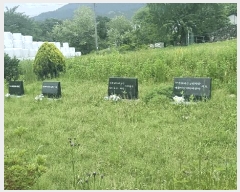  2025Ÿ479 泲 â â и 144      (1)