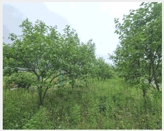  2025Ÿ479 泲 â â и 144      (1)