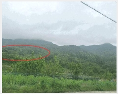  2025Ÿ479 泲 â â и 144      (1)