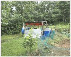  2025Ÿ��493 �泲 ��õ�� �ʰ�� �Ƹ��� 210      ����(��1)���