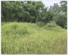  2025Ÿ��493 �泲 ��õ�� �ʰ�� �Ƹ��� 210      ����(��1)���